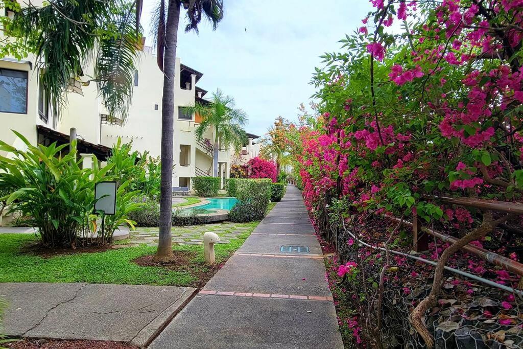 Amazing Oceanview Rooftop Terrace Walk To Beach Coco Exterior foto